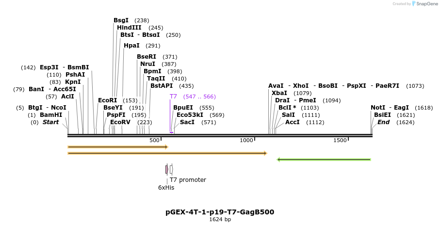 65431_map