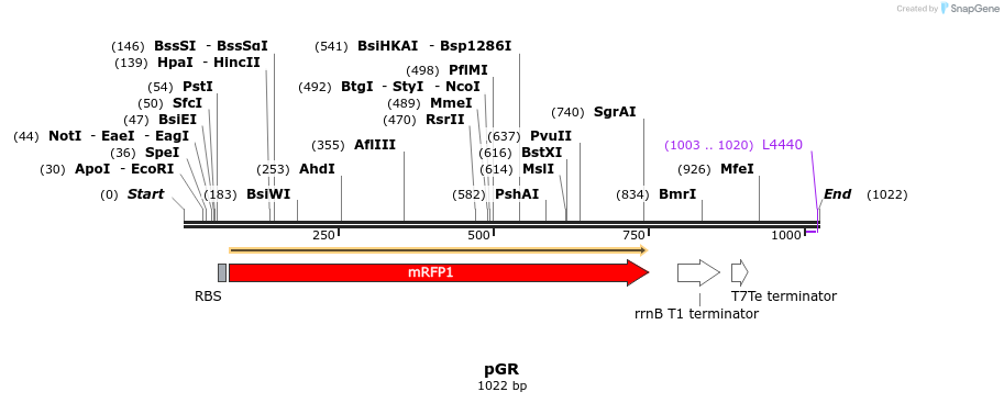 65435_map