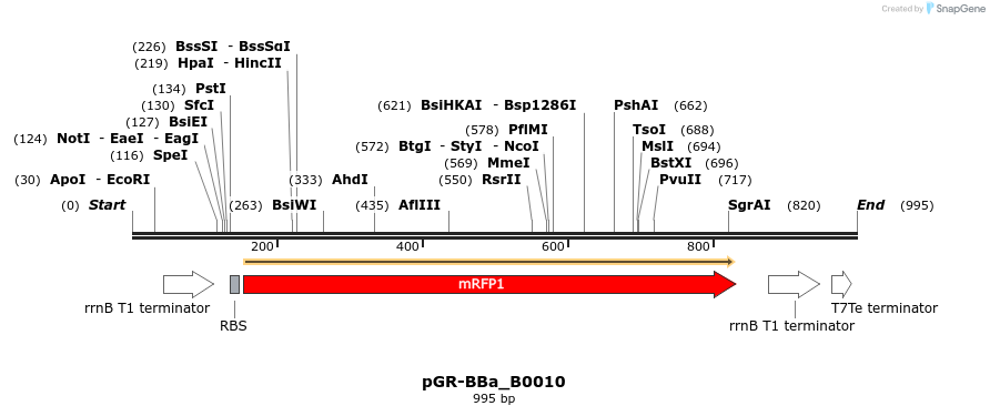 65437_map