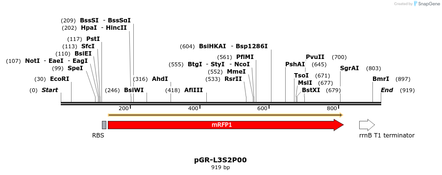 65442_map