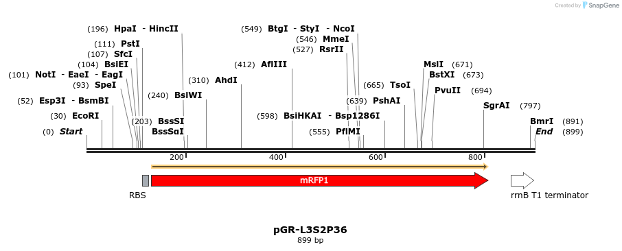 65446_map