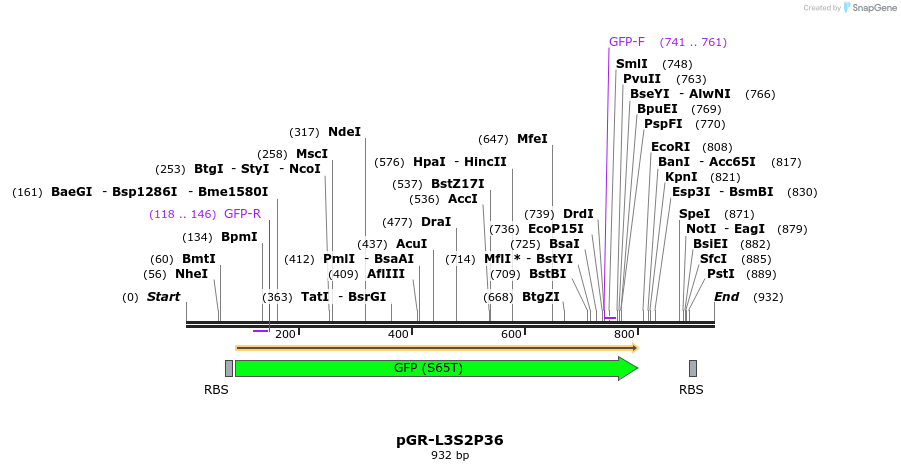 65447_map