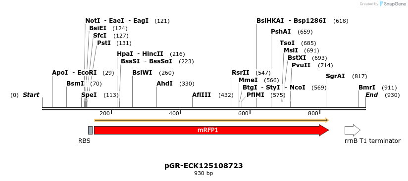 65448_map