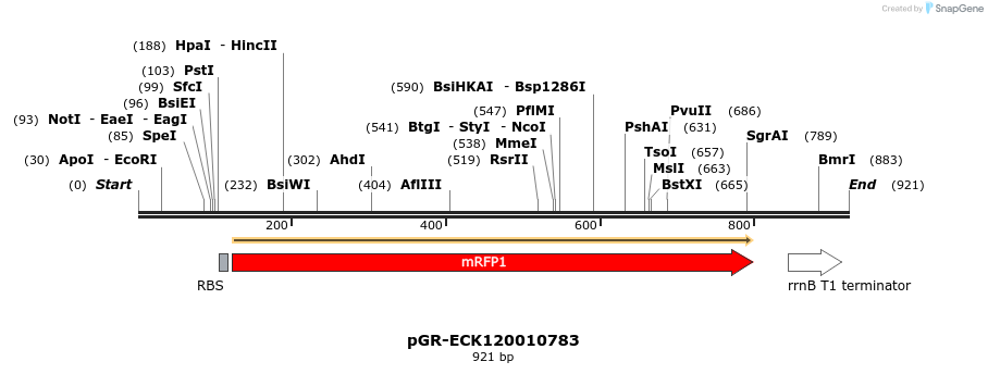 65450_map