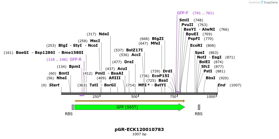 65451_map