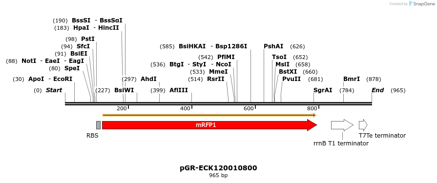 65452_map