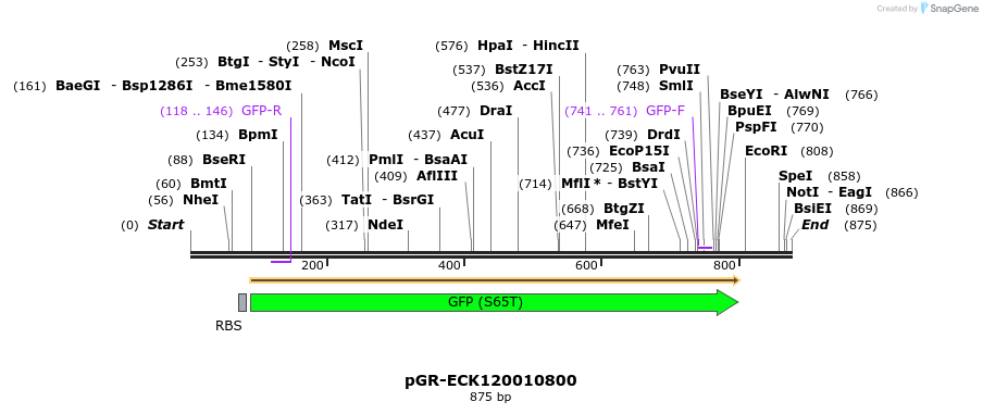 65453_map