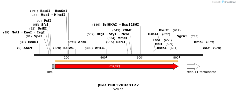 65454_map