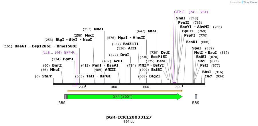 65455_map