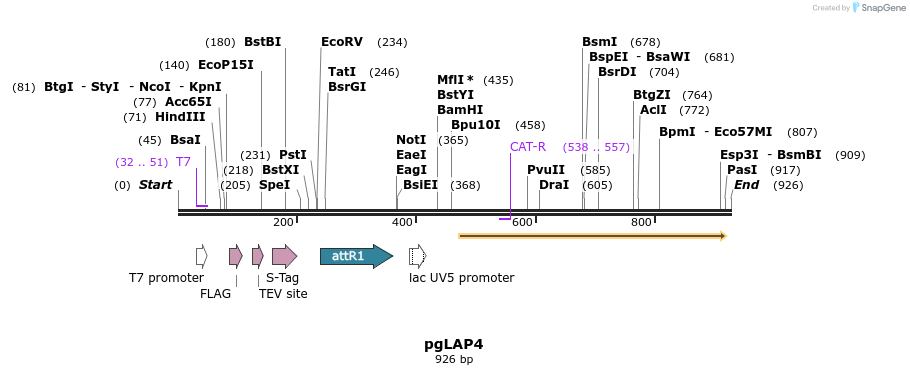 65475_map
