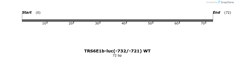 65481_map