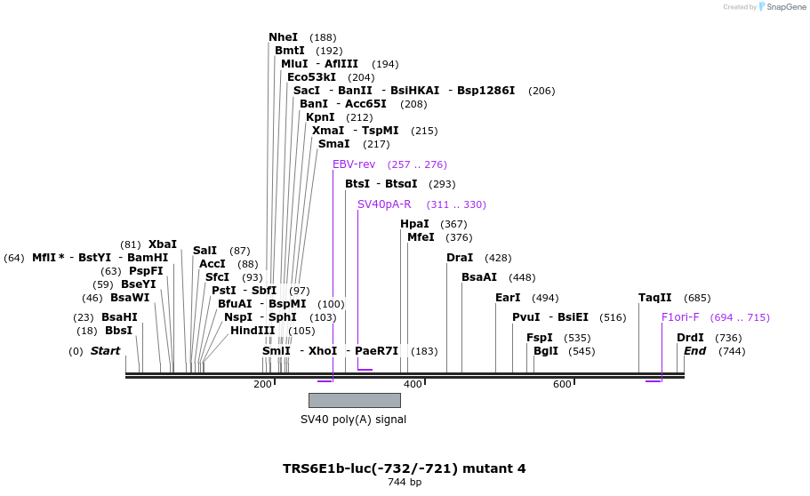 65490_map