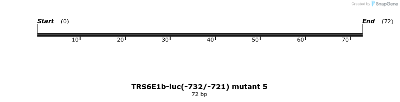 65491_map