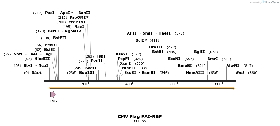 65496_map