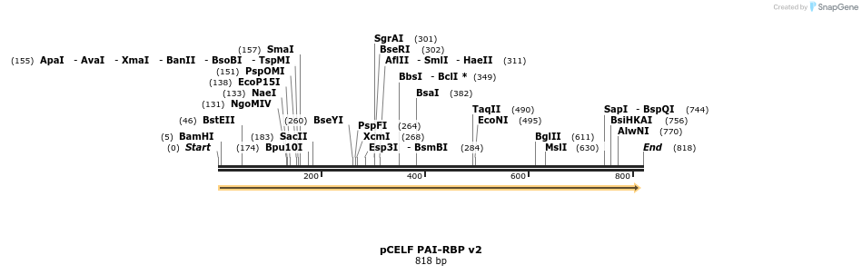 65498_map
