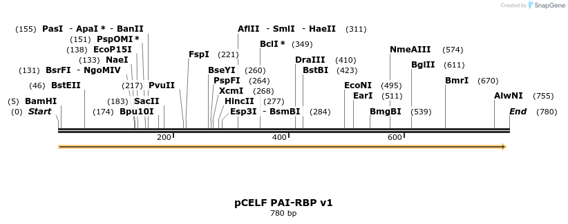 65499_map