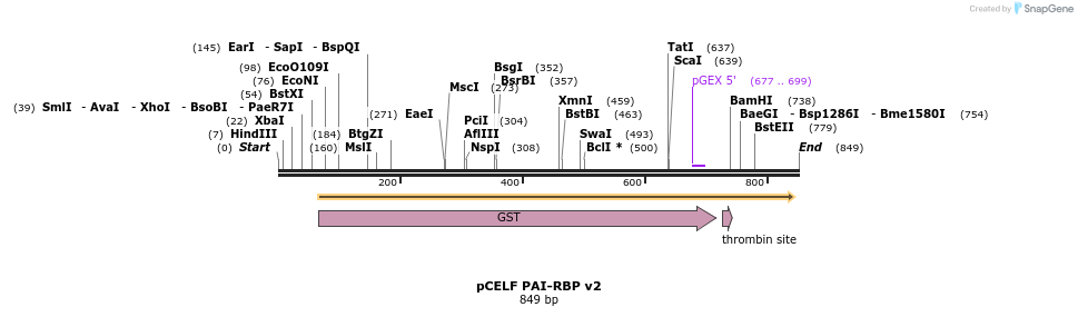 65502_map