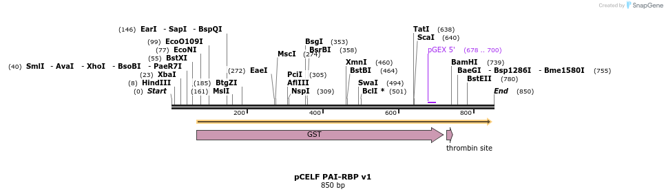65503_map