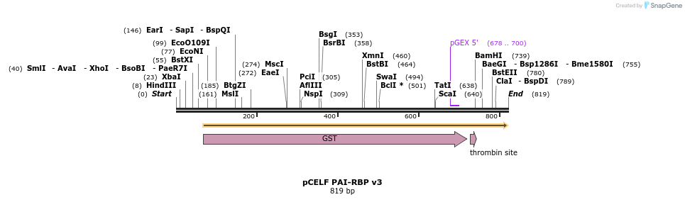 65504_map