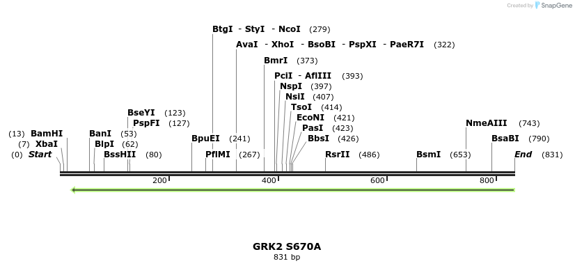 65506_map