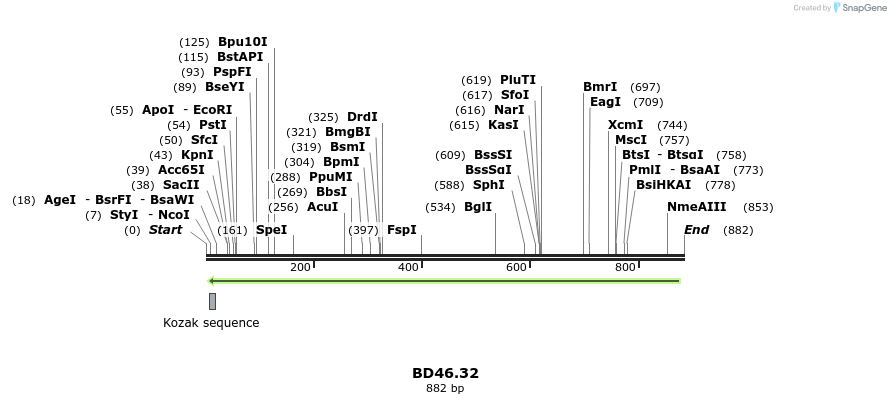 65509_map