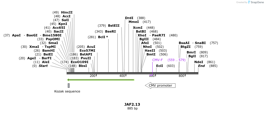 65510_map