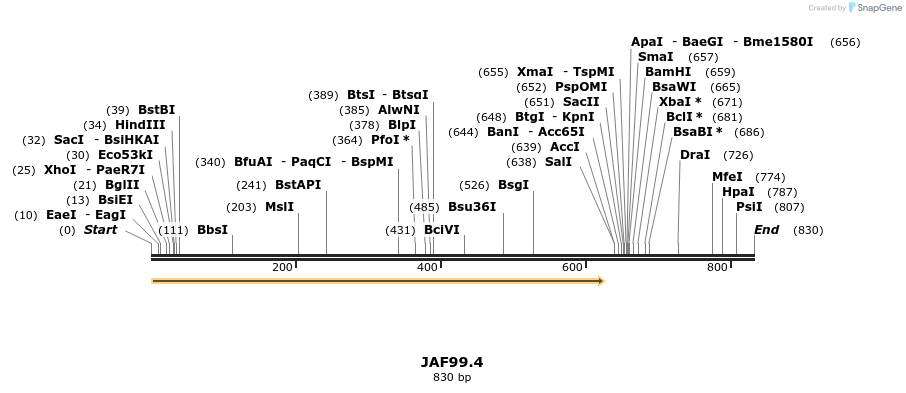 65511_map
