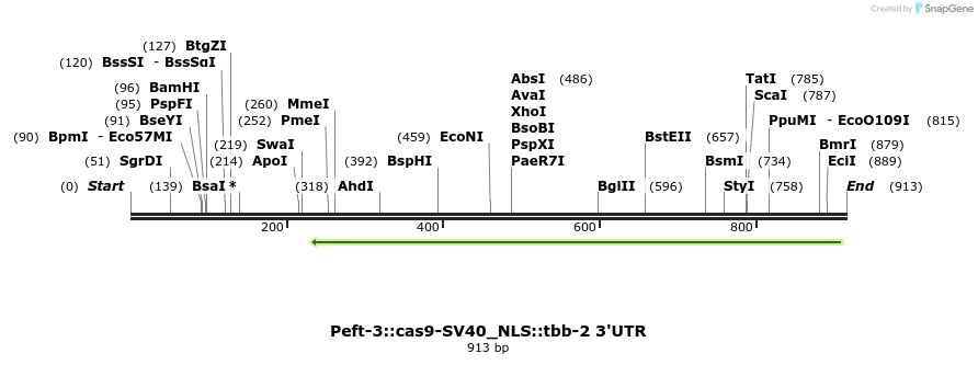 65512_map