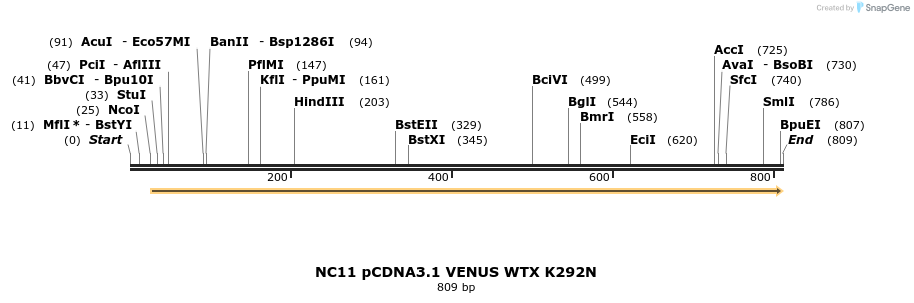 65516_map