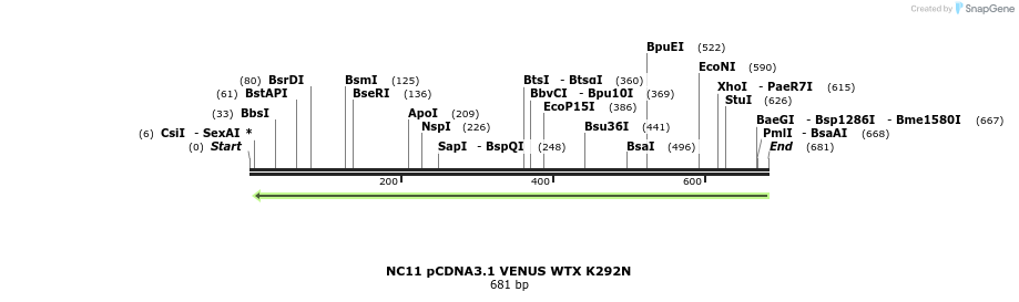 65517_map