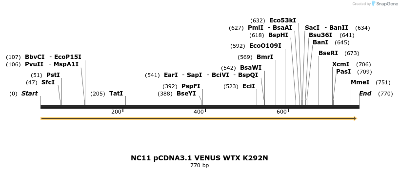 65518_map
