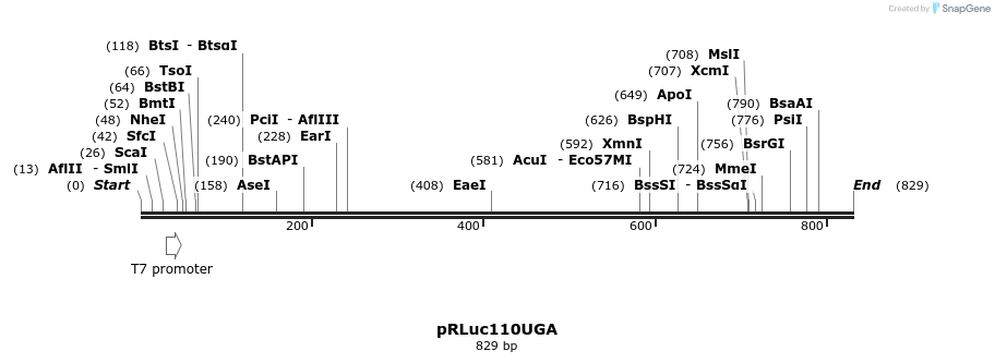 65519_map