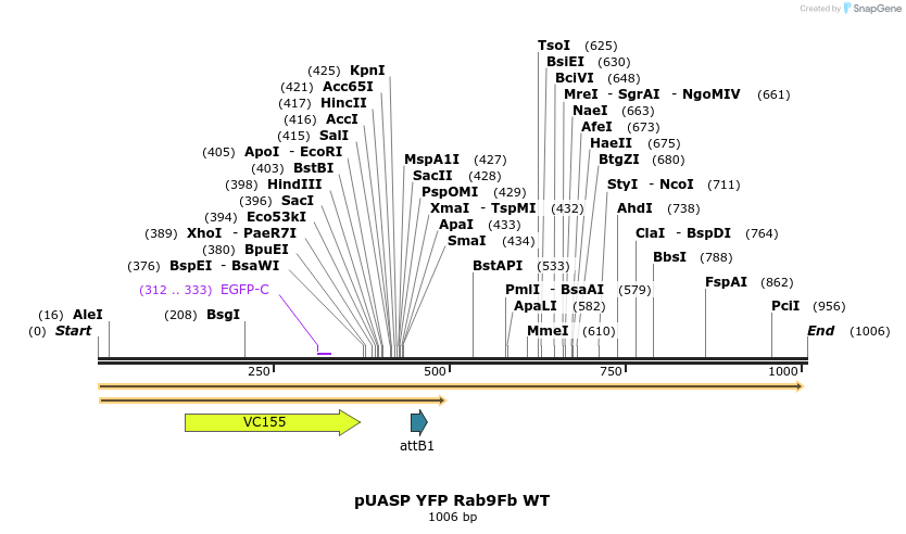 65520_map