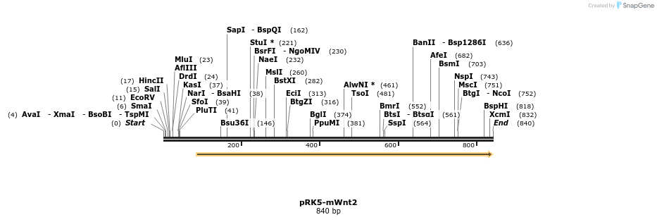 65522_map