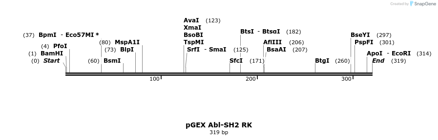 65528_map