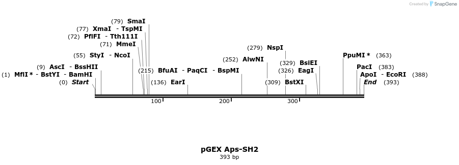 65530_map