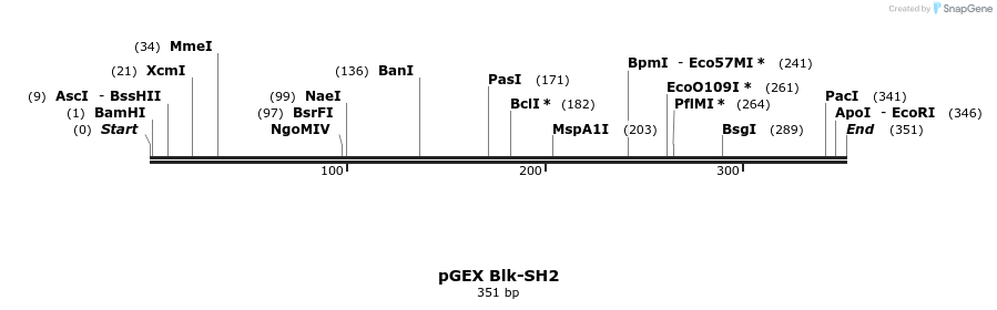 65536_map