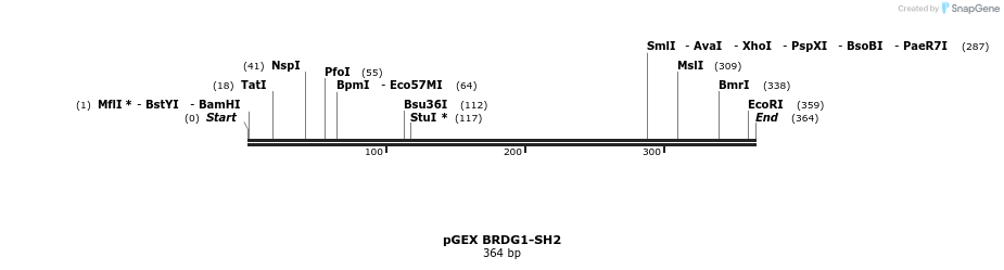65542_map