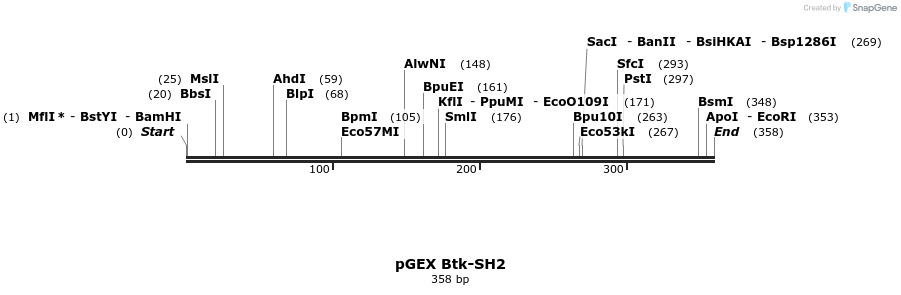 65546_map