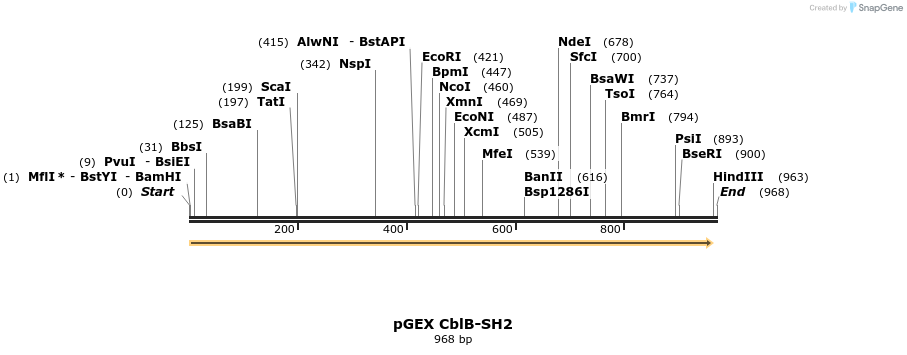 65548_map