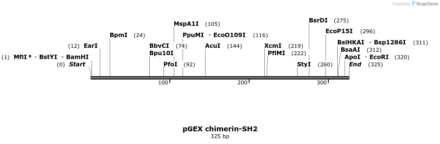 65552_map