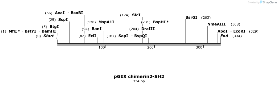 65554_map