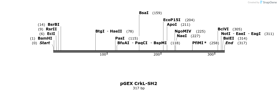 65560_map