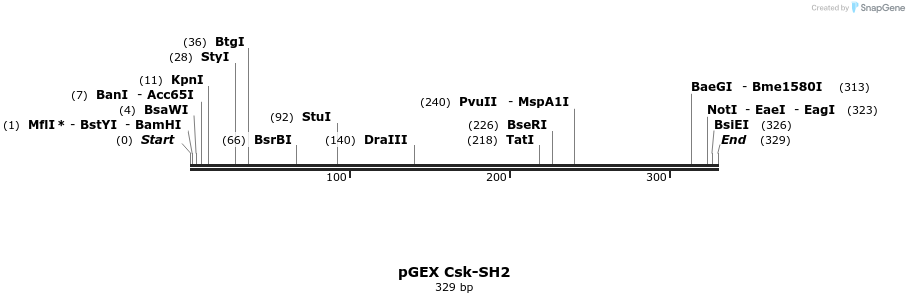 65562_map