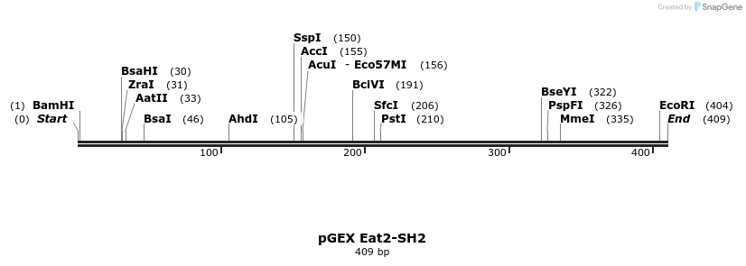 65568_map