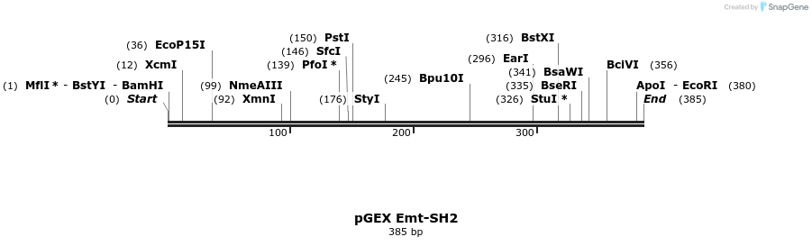 65570_map