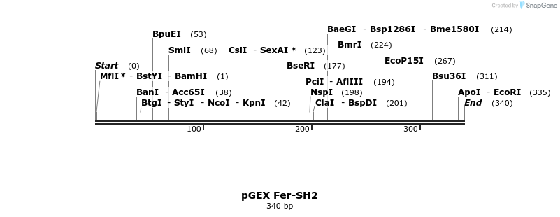 65572_map