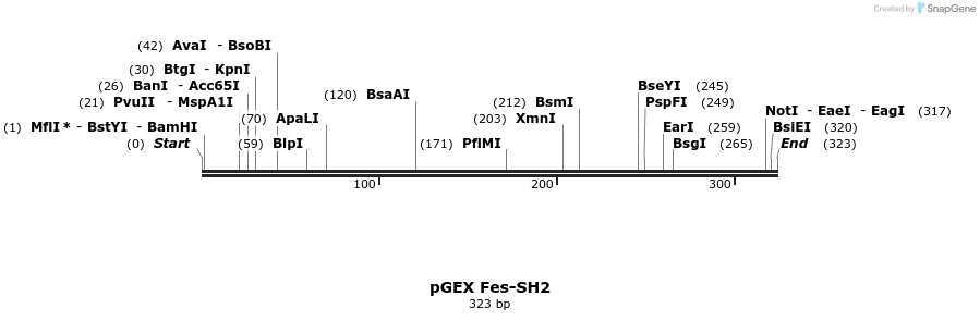 65574_map