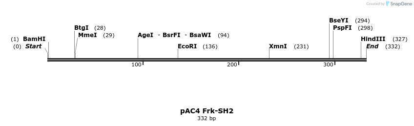 65578_map