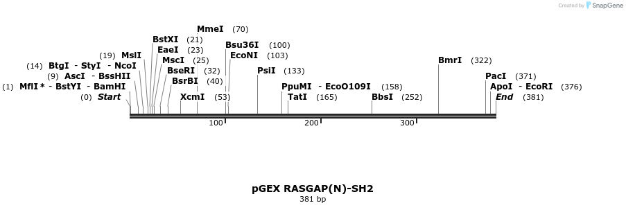65586_map